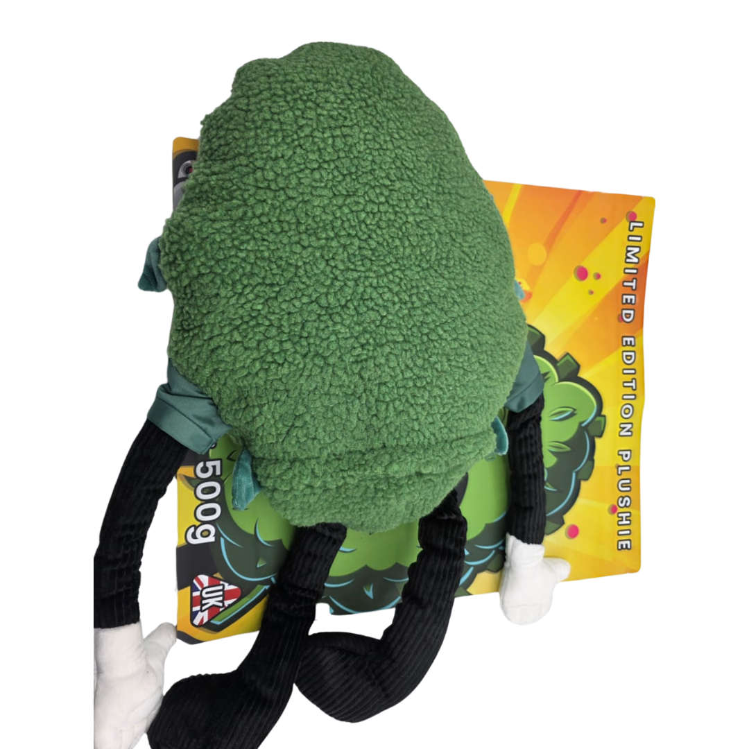 Buddy High Limited Edition Premium Plush Teddy with Secure Back Zip – Collectible Soft Toy